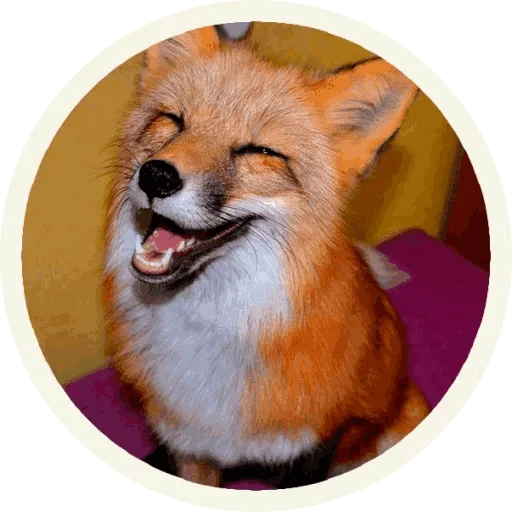 😚 Стикер «Foxx for Telegram» для Telegram