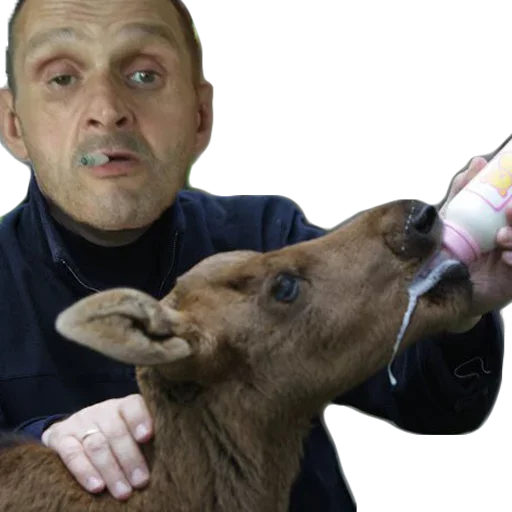 🥛 Стикер «FraerRobot» для Telegram