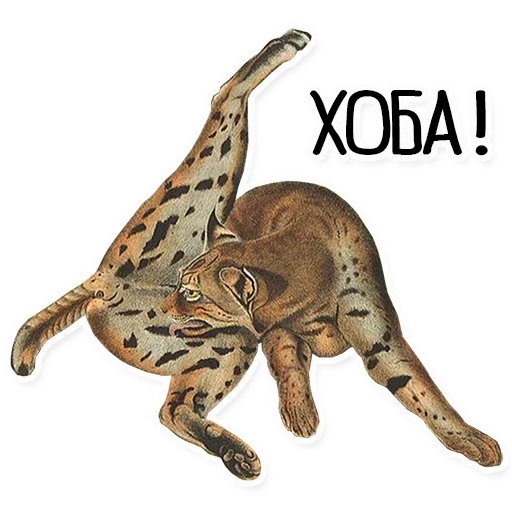😼 Стикер «Упоротый Антиквариат» для Telegram