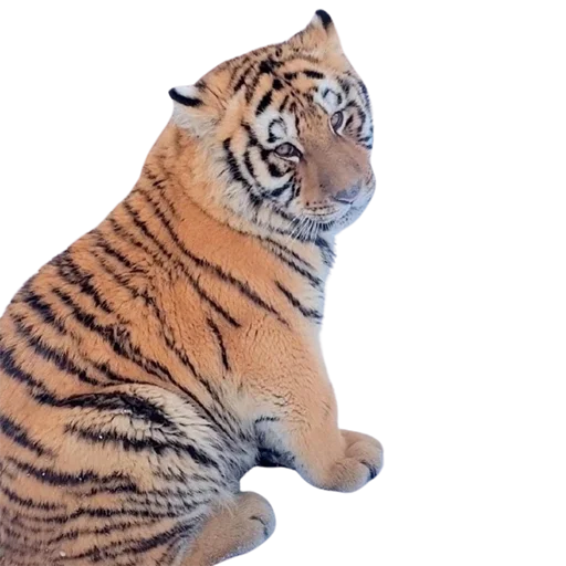 😌 Стикер «My freaky zoo» для Telegram