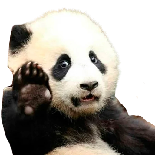 Стикерпак My freaky zoo для Telegram — скачать