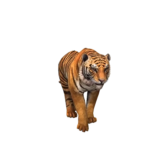 🐯 Стикер «Freedom» для Telegram