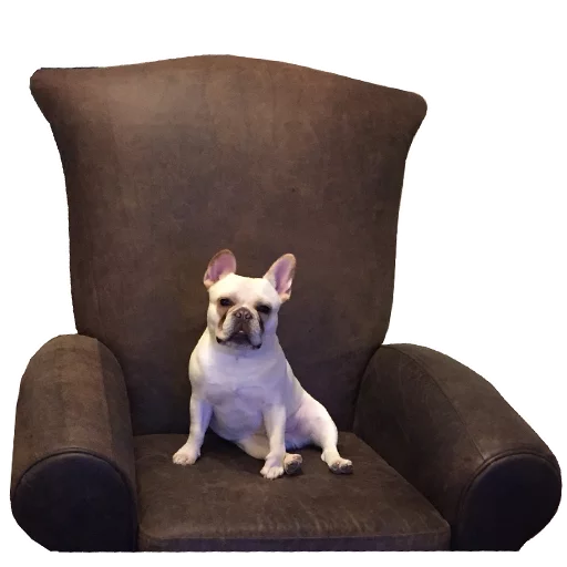 😐 Стикер «Frenchie» для Telegram
