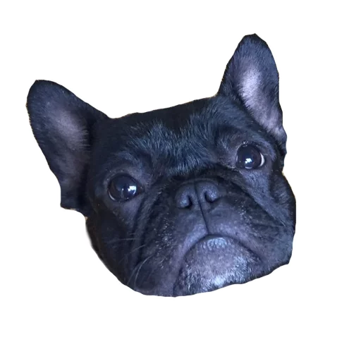 😟 Стикер «Frenchie» для Telegram