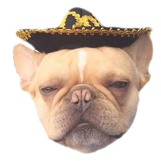 😑 Стикер «Frenchie» для Telegram