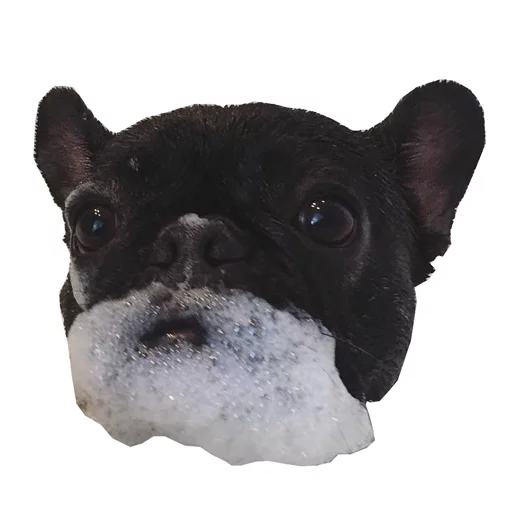 😌 Стикер «Frenchie» для Telegram