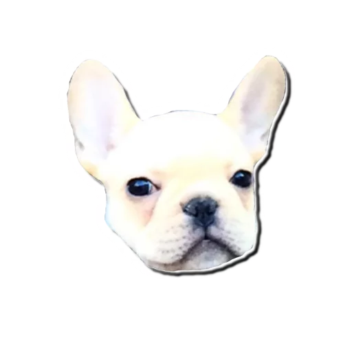 😇 Стикер «Frenchie» для Telegram