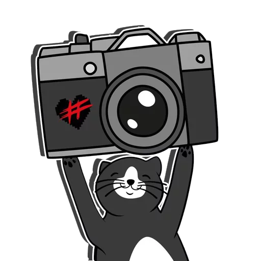 🐱 Стикер «ФРЕНДЗОНА FAN» для Telegram