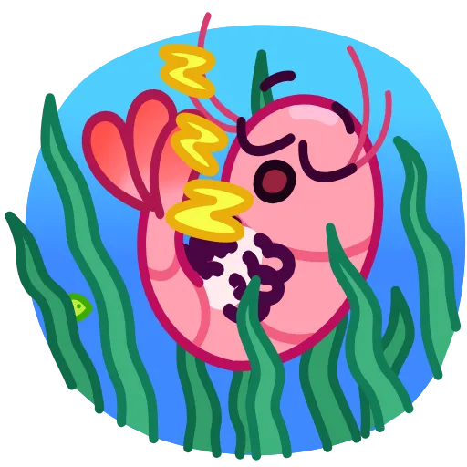 😴 Стикер «Fresh Shrimp» для Telegram