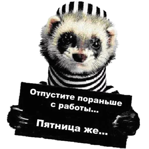 🙏 Стикер «Пятница» для Telegram