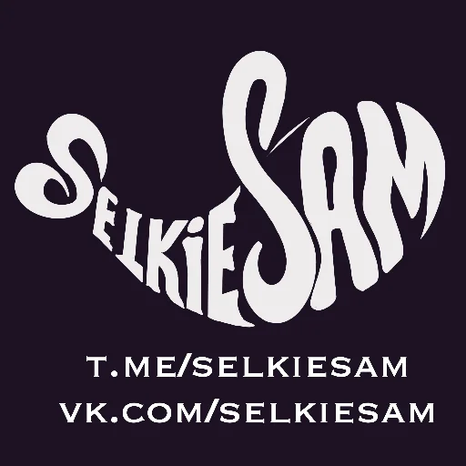 🙃 Стикер «Friendly Seal» для Telegram