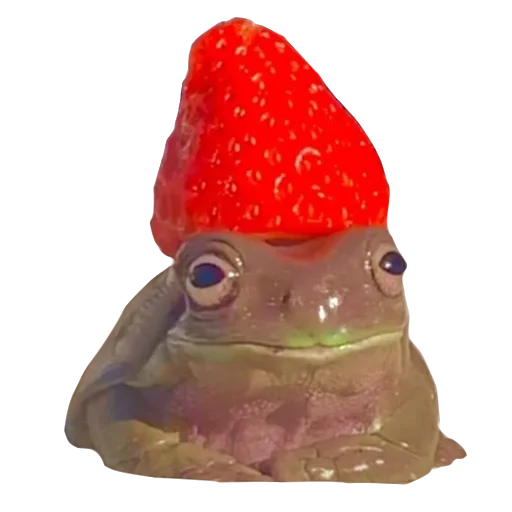 🐸 Стикер «Жабьи лягушки» для Telegram