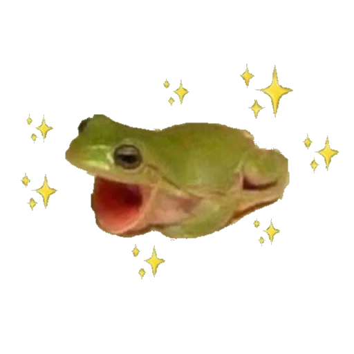🐸 Стикер «Жабьи лягушки» для Telegram