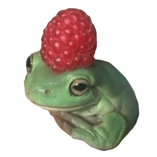 🍓 Стикер «Жабьи лягушки» для Telegram