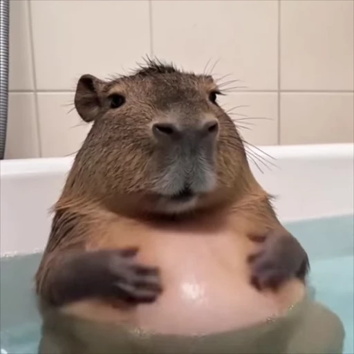 🛁 Стикер «From FTS2» для Telegram