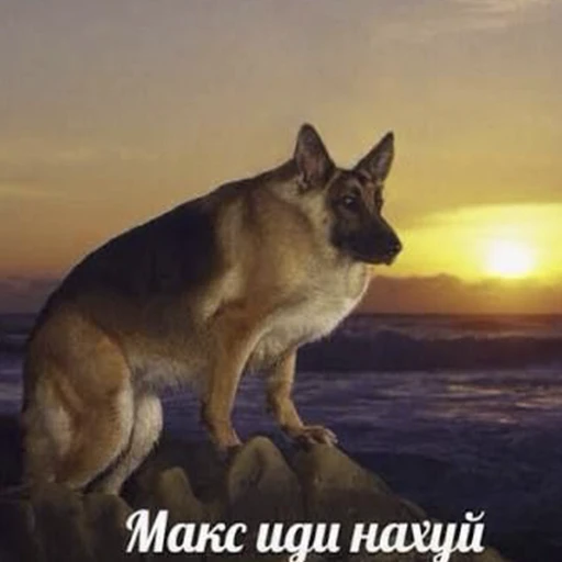 🌅 Стикер «From FTS2» для Telegram