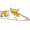 🥝 Эмодзи «Фруктовые котята» для Telegram