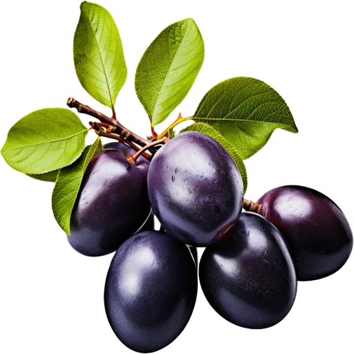 🫐 Стикер «Fruits» для Telegram