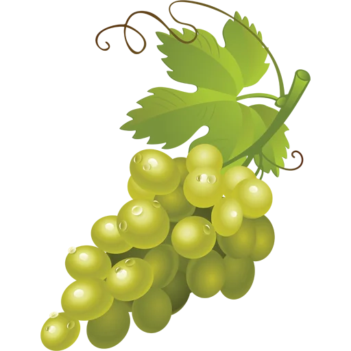 🍇 Стикер «Fruits» для Telegram