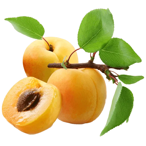 🍑 Стикер «Fruits» для Telegram