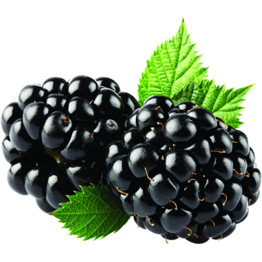 🍇 Стикер «Fruits» для Telegram
