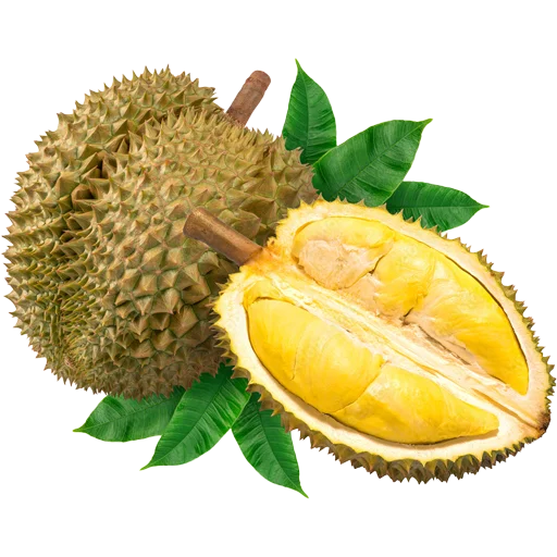 🥝 Стикер «Fruits» для Telegram
