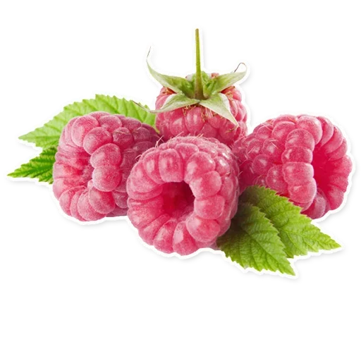 🍒 Стикер «Fruits» для Telegram