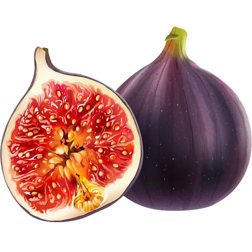 🧄 Стикер «Fruits» для Telegram
