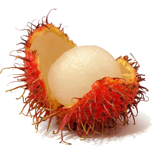 🫒 Стикер «Fruits» для Telegram
