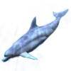 🐠 Эмодзи «Windows» для Telegram