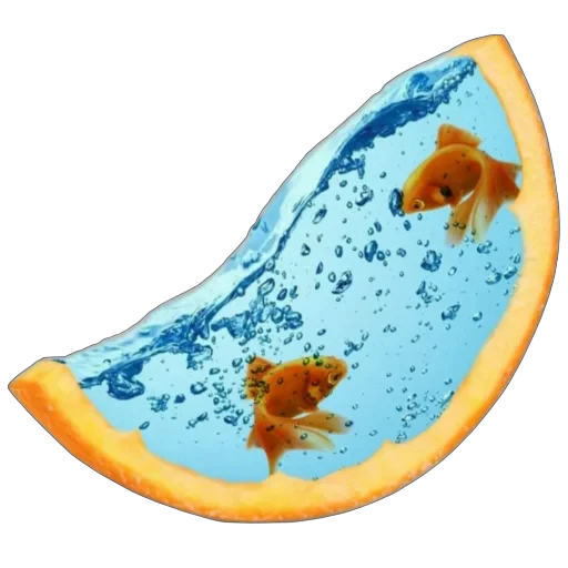 🍊 Стикер «Frutiger Aero» для Telegram