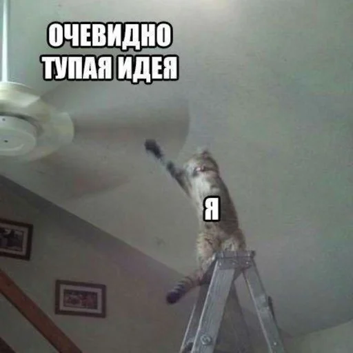 🙆‍♀ Стикер «hhwb» для Telegram