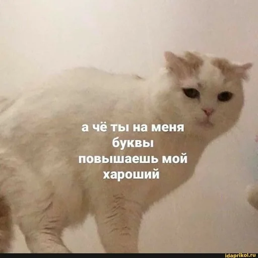 😡 Стикер «hhwb» для Telegram