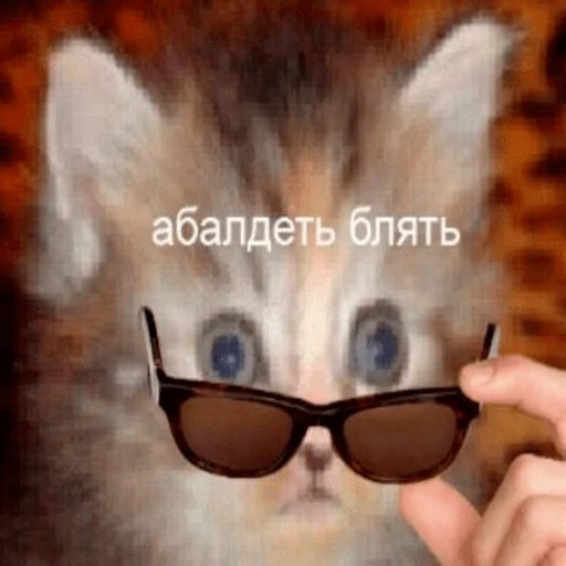 👁️ Стикер «hhwb» для Telegram