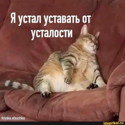 Стикерпак hhwb для Telegram