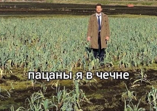 💃 Стикер «hhwb» для Telegram