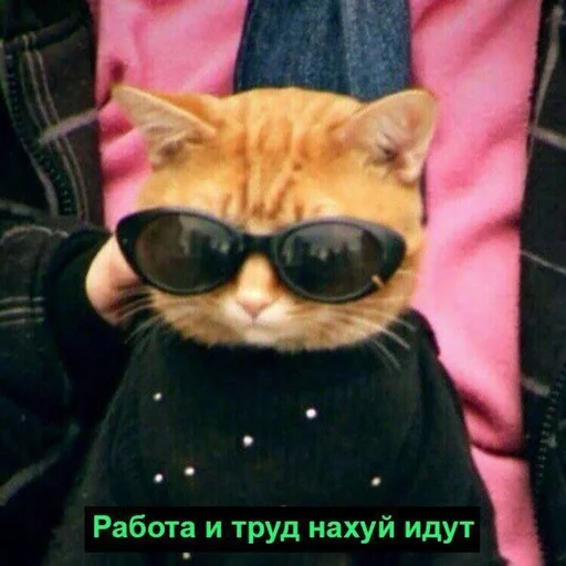 🖕 Стикер «hhwb» для Telegram