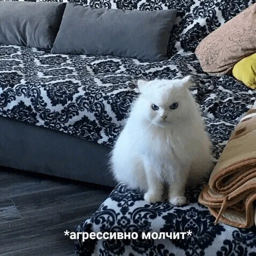 😤 Стикер «hhwb» для Telegram