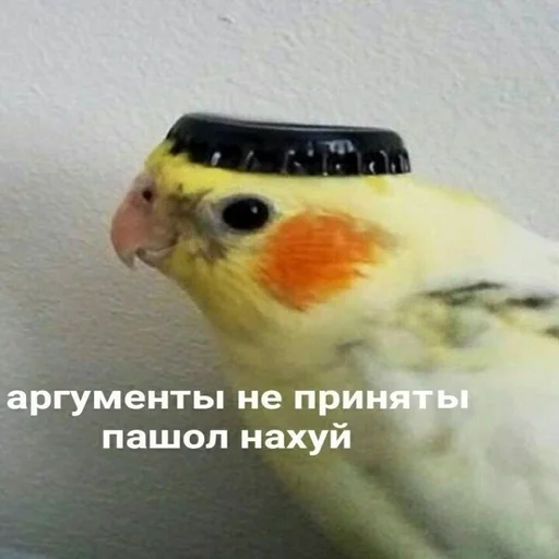 🖕 Стикер «hhwb» для Telegram
