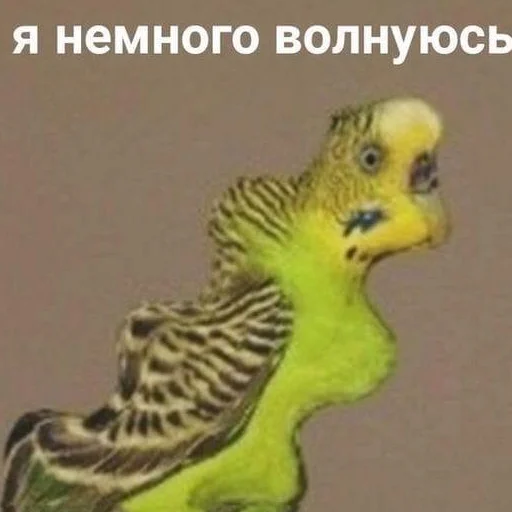 🙃 Стикер «ФСБ и не только» для Telegram