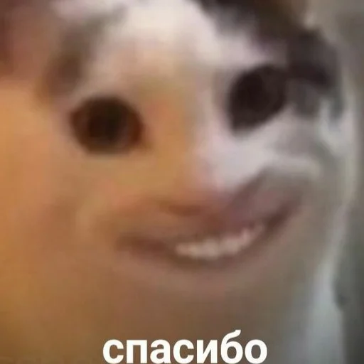 😄 Стикер «ФСБ и не только» для Telegram