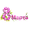Стикер 52 С праздником, дорогие дамы нашего канала!! 💐