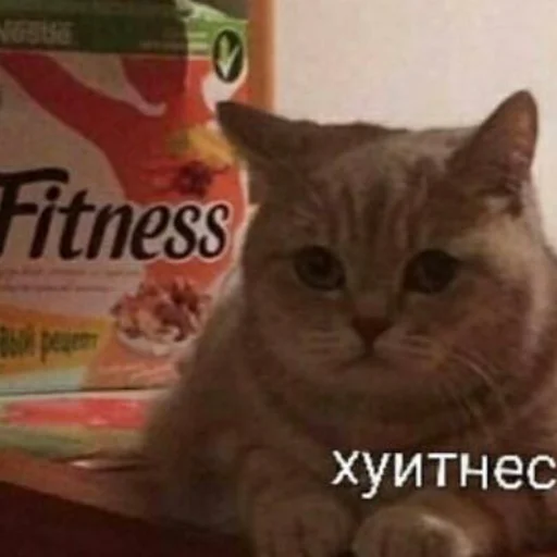 😔 Стикер «сонин протухший чай (bts)» для Telegram