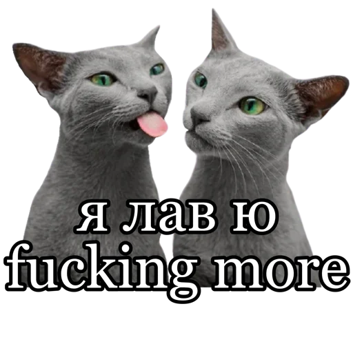 ❤️‍🔥 Стикер «fucking pack» для Telegram