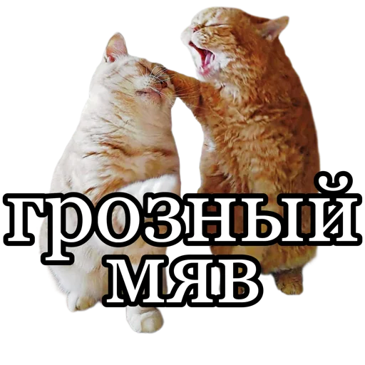 😡 Стикер «fucking pack» для Telegram