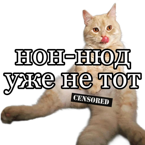 🔞 Стикер «fucking pack» для Telegram