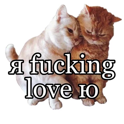 ❤️ Стикер «fucking pack» для Telegram