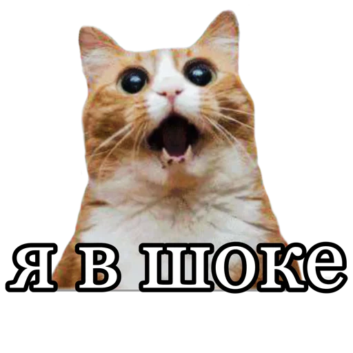 😱 Стикер «fucking pack» для Telegram