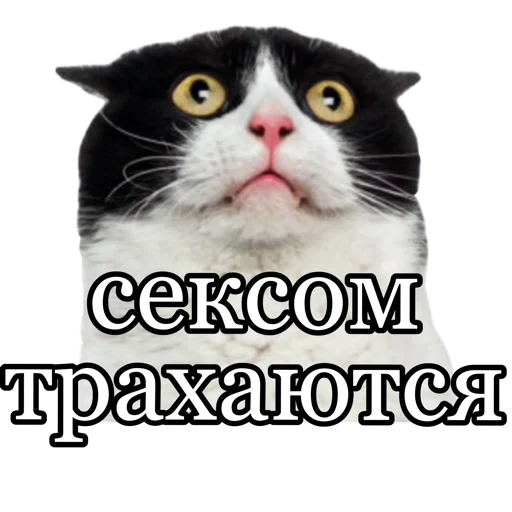 😳 Стикер «fucking pack» для Telegram