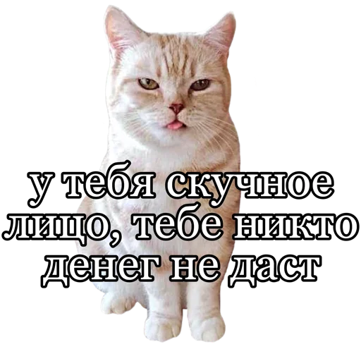 😶 Стикер «fucking pack» для Telegram